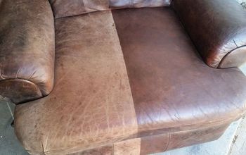 How to Easily Repair and Cover Cat Scratches on  Leather Furniture