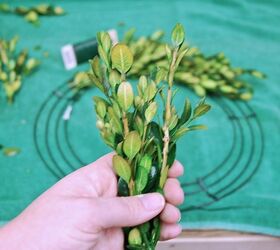 preserved boxwood wreath tutorial, crafts, how to, wreaths