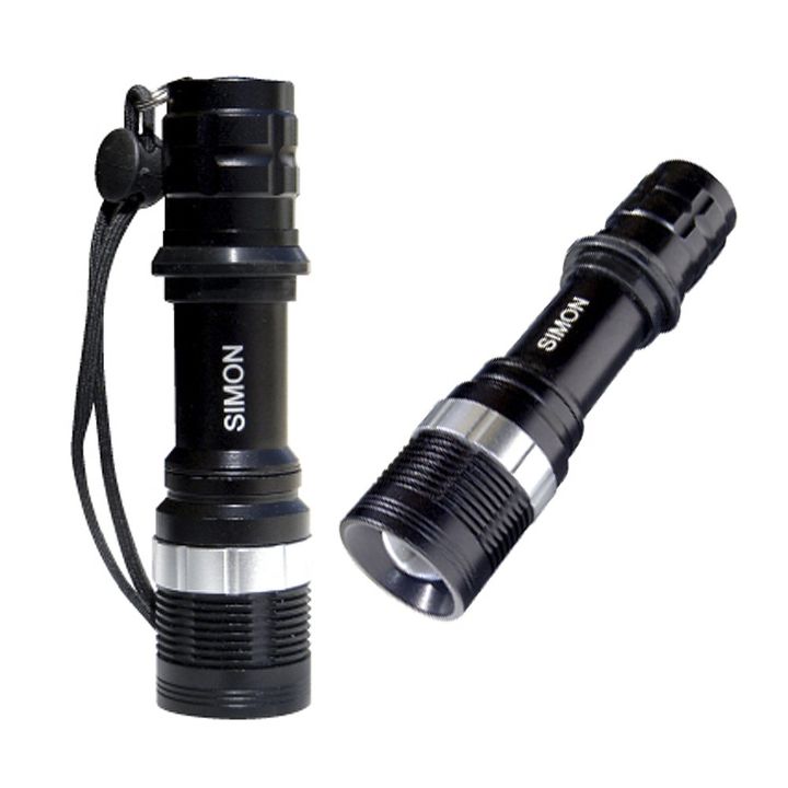 with a brilliant led flashlight you see it all