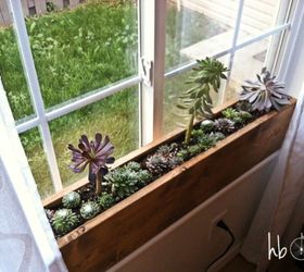 12 prcticas actualizaciones de ventanas que tambin se ven increbles, A ade una jardinera con suculentas
