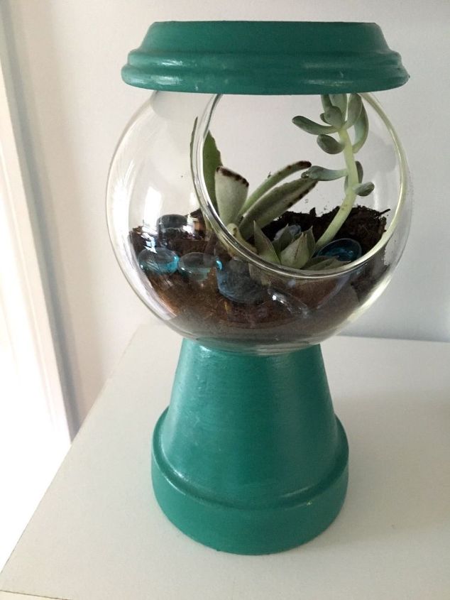 q que plantas son las mejores para la decoracion del hogar