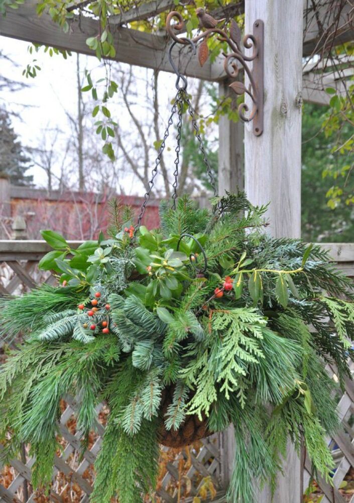 14 Winter Planter Ideas for When You're Missing Your Garden | Hometalk