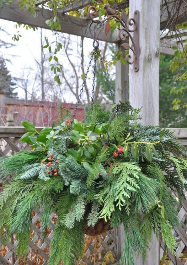 s 13 winter planter ideas for when you re missing your garden, gardening, A hanging basket full of cold weather plants