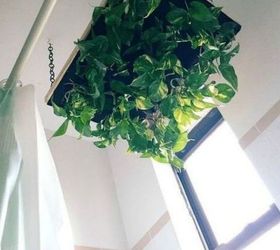 s 13 winter planter ideas for when you re missing your garden, gardening, An indoor raining plant hanger