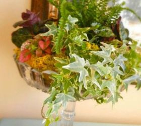s 13 winter planter ideas for when you re missing your garden, gardening, A cake dish turned indoor planter