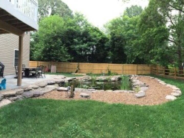 q backyard lighting needs help, lighting