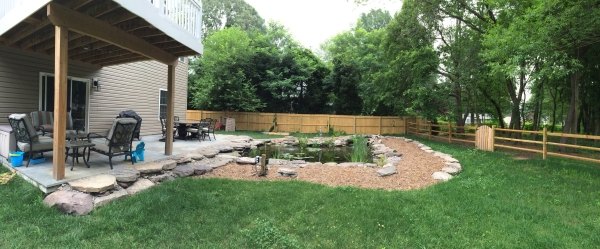 q backyard lighting needs help, lighting