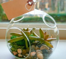 s 14 awesome ways to reuse your christmas decorations after christmas, christmas decorations, Or turn them into a terrarium