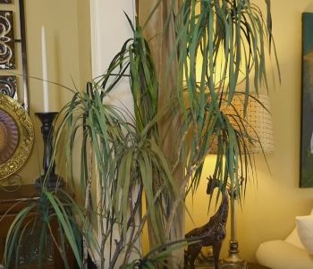 diy make your own tree house plant, gardening, home decor