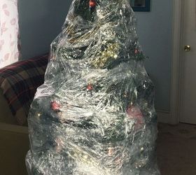 plastic wrapped christmas tree