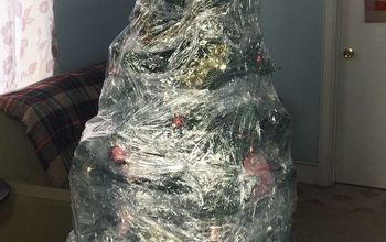 Why My Christmas Tree is Wrapped in Plastic