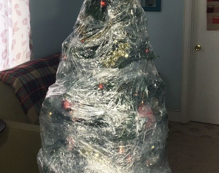 plastic wrapped christmas tree