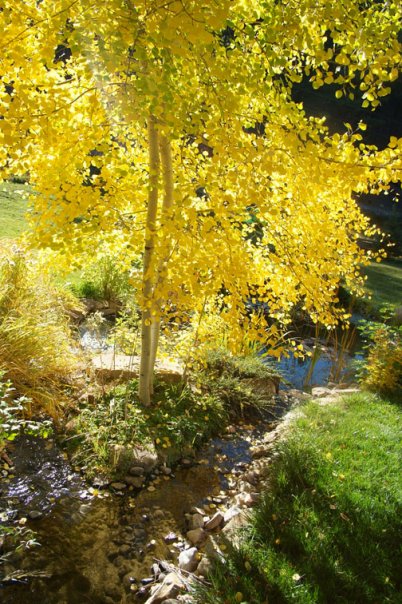 q nature lover inside out in colorado mountains