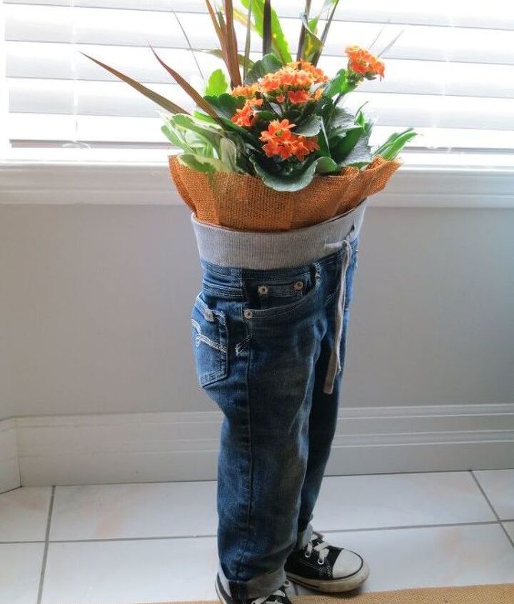 Blue Jean Planter Gardening Blue Jean Planter Gardening
