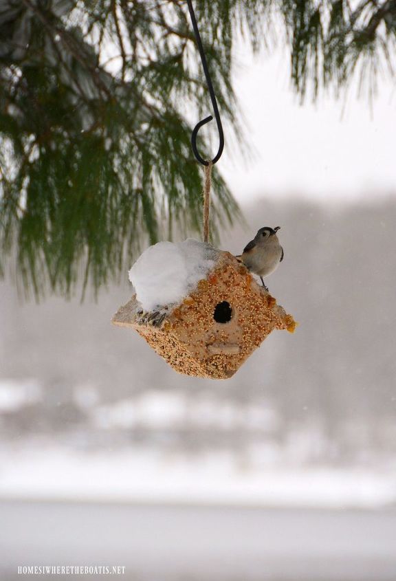 diversin de invierno diy crea un alimentador de semillas para pjaros en una casita