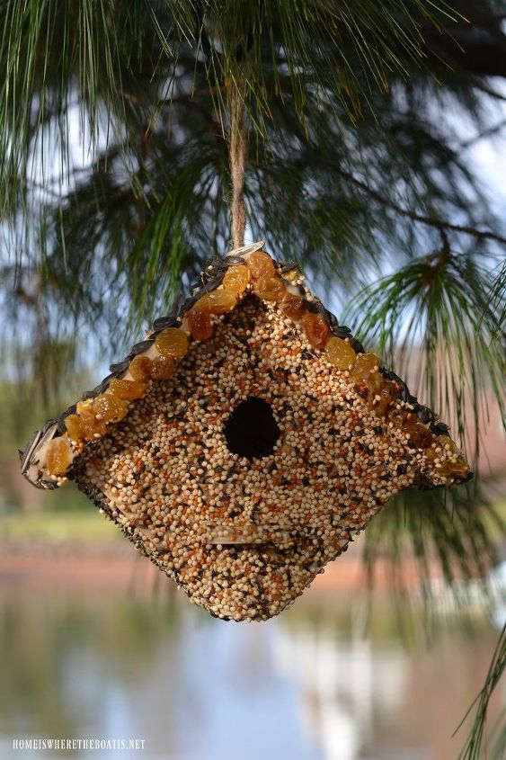 winter fun diy create bird seed cottage feeder, gardening