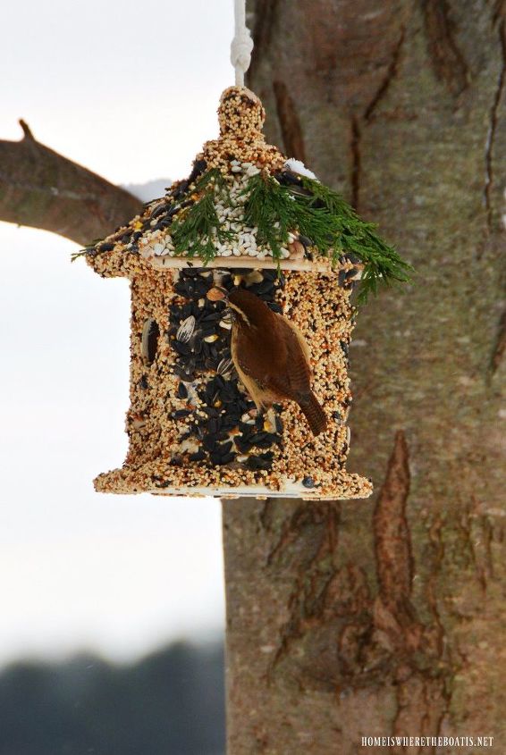 winter fun diy create bird seed cottage feeder, gardening