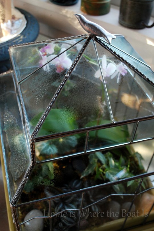 jardinagem de vidro