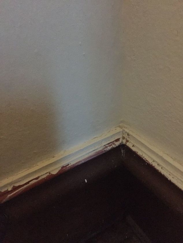 how can i remove this paint on trim