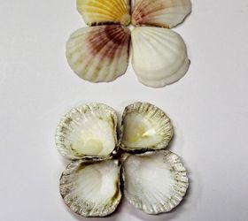 repurposed moonflower wall art, crafts, Add seashells