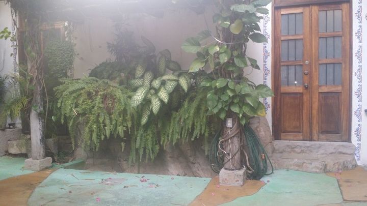 eu queria compartilhar uma ideia inteligente com plantas
