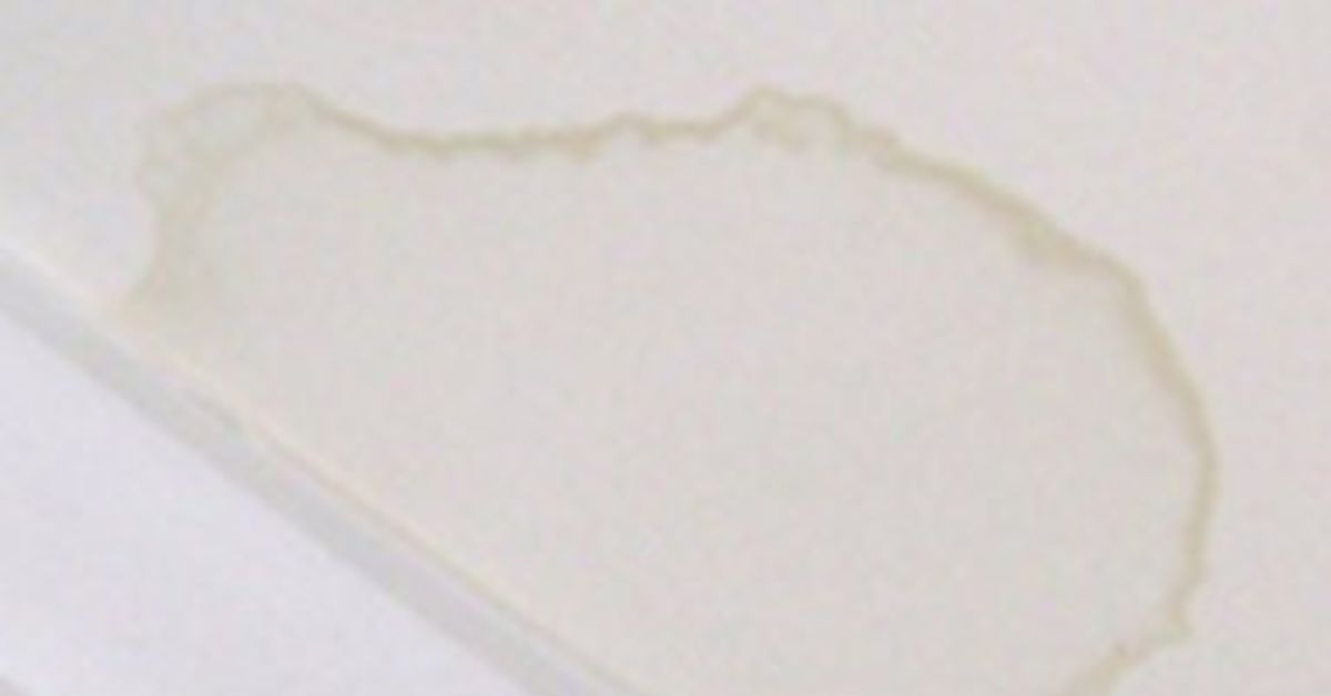 water drywall stain remove hometalk tip