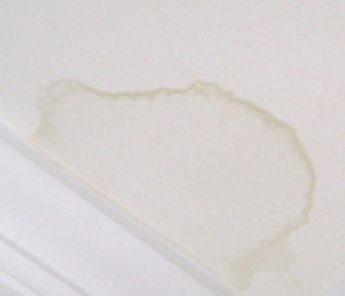 q got a drywall water stain try this tip, home maintenance repairs, ponds water features, wall decor