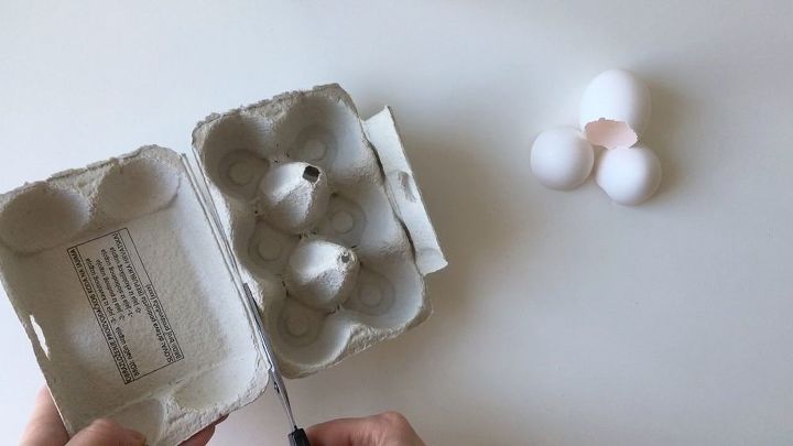 mini jardn de suculentas de cscara de huevo
