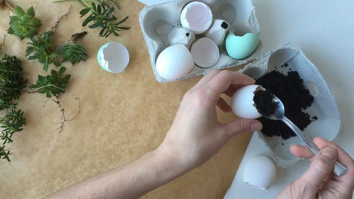 mini jardn de suculentas de cscara de huevo