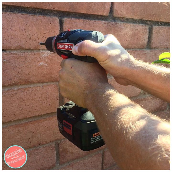 use a shower caddy as wall planter, Drill a screw into the wall to hang caddy