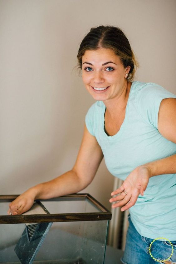 easy diy terrarium from an old fish tank, gardening, terrarium