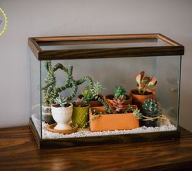 easy diy terrarium from an old fish tank, gardening, terrarium
