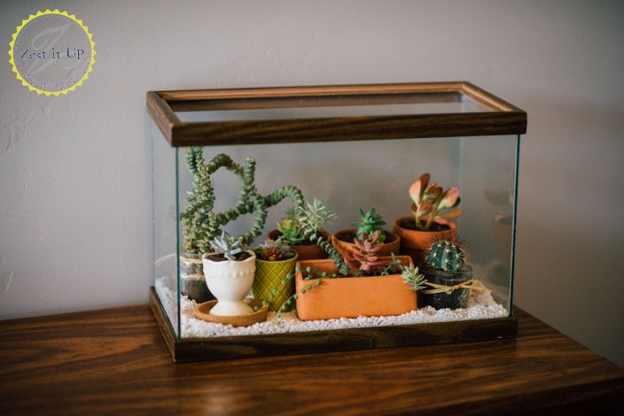 easy diy terrarium from an old fish tank, gardening, terrarium