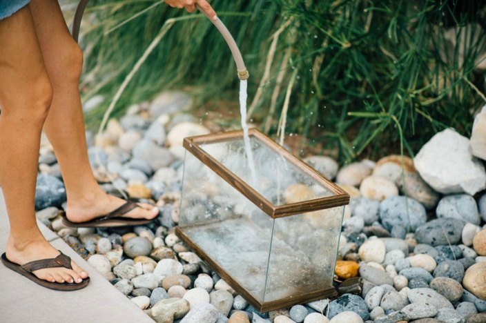 easy diy terrarium from an old fish tank, gardening, terrarium