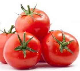 q how do i grow tomatoes in phoenix az i keep getting little holes, gardening
