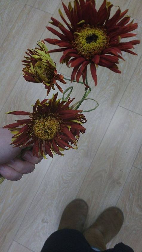 alguma idia para projetos com minhas flores secas