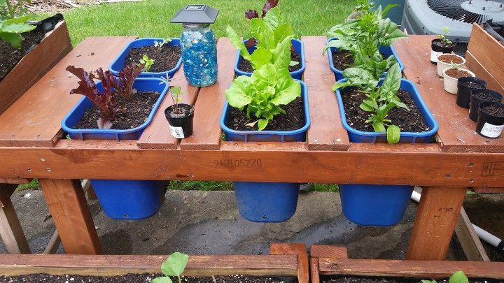 t can a fresh salad bar get any easier than this, outdoor living