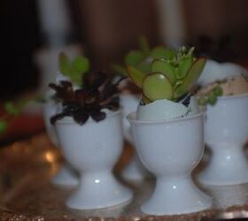egg cup planters, gardening