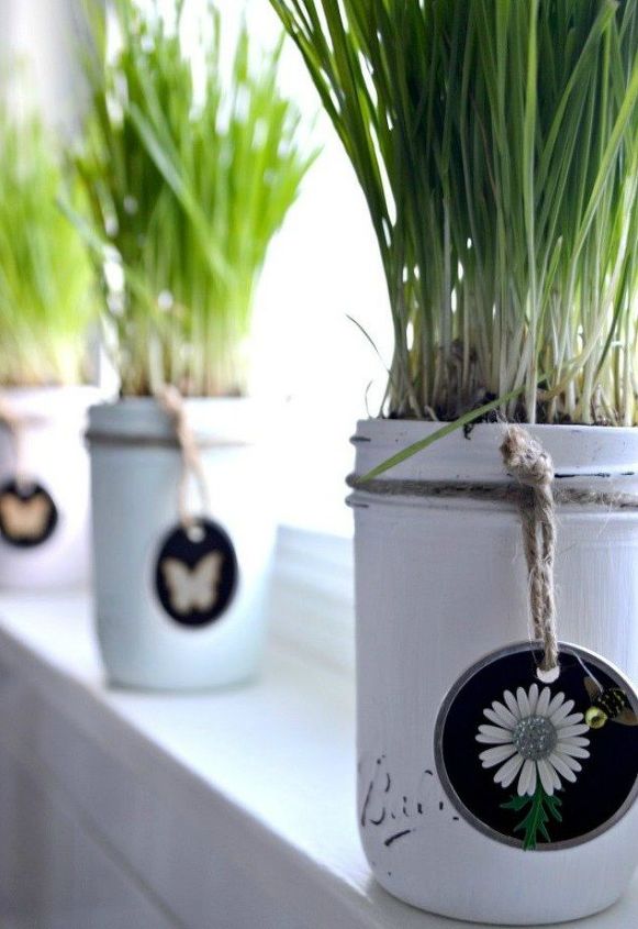haz rer a tus vecinos con estas 16 ideas de macetas, Planta hierba de trigo en tarros de cristal