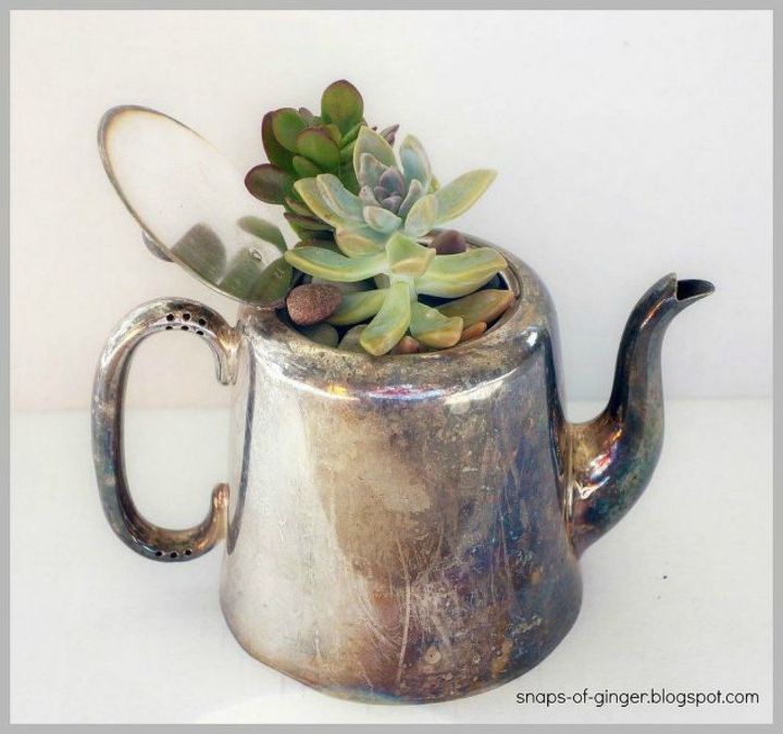 s make your neighbors giggle with these x planter ideas, gardening, Pop a succulent into a vintage tea kettle