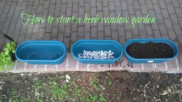 como fazer um jardim interno de ervas
