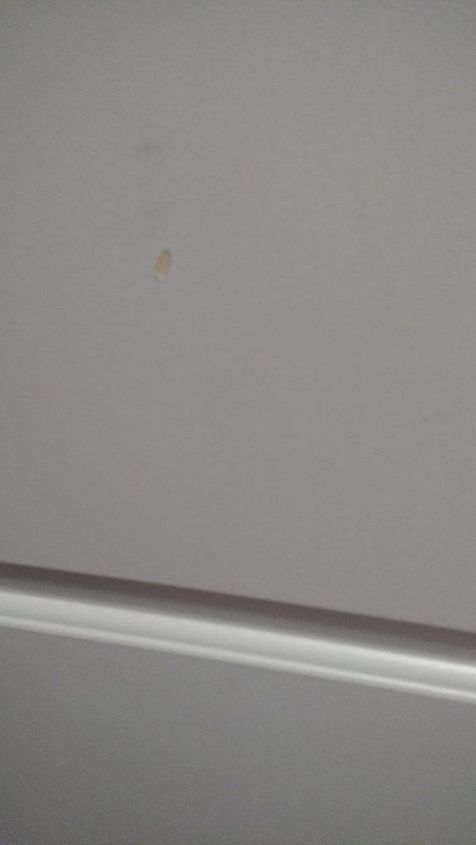 q there is a small chip in the paint do i need to re paint the door, doors