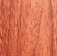 q picking the right wood species for your cabinet doors, doors, kitchen cabinets, kitchen design, Maple
