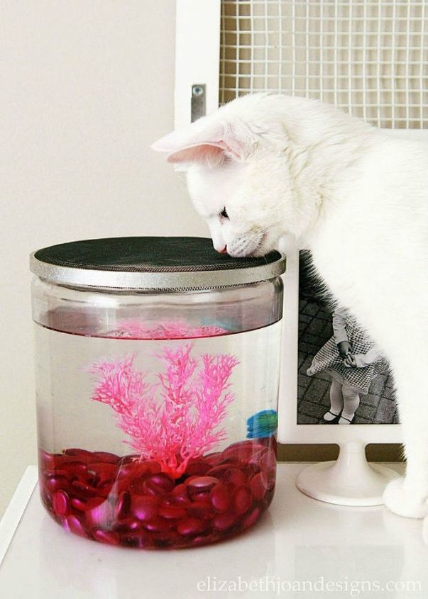 15 ultimate ways to use embroidery hoops in your home decor, Shape it into an innovative fish bowl cover