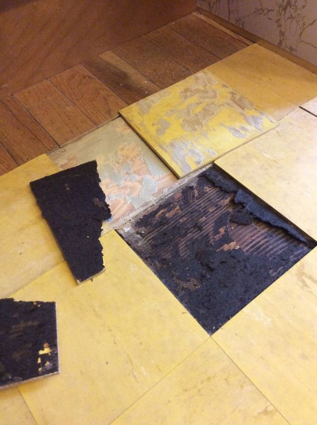 Is This Asbestos Mold Rot Anyone, Mold Under Vinyl Flooring