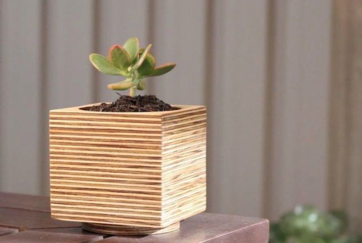 s these 11 garden hacks will have you counting down til spring, Craft a plywood planter for a small succulent