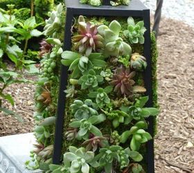 s these 11 garden hacks will have you counting down til spring, Create a succulent lantern for your patio