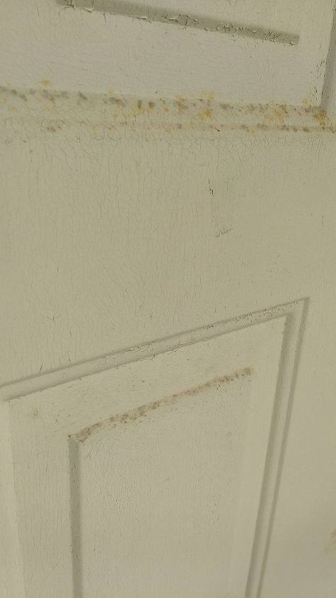 q what can i do about mold on my door, cleaning tips, doors