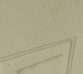 what can i do about mold on my door