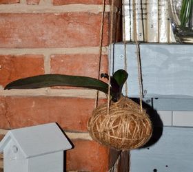 Hanging Orchid Step-by-step